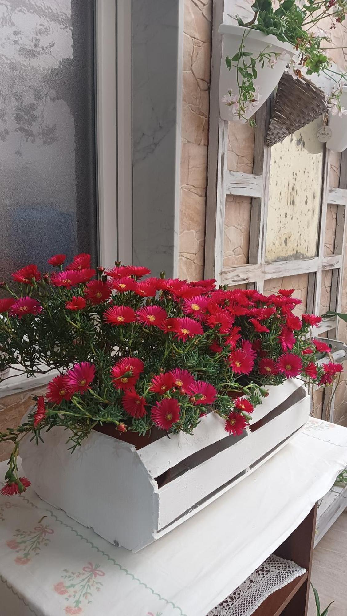 Le 3 Dee Bed & Breakfast Reggio di Calabria Room photo